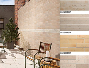 House matte surface exterior tile