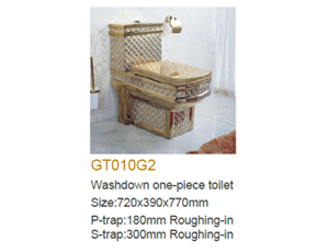 GT010G2 Washdown One-piece Gold Toilet