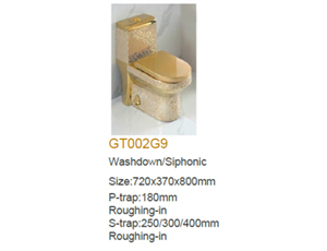 GT002G9 Washdown/siphonic one-piece golden toilet